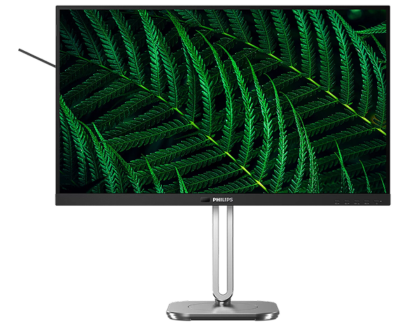 71c6Pfxg7vL._AC_UF1000,1000_QL80_ 1